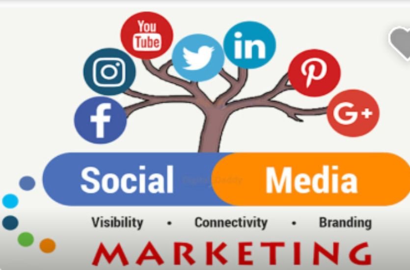 Social Media Marketing Services: The Complete Guide to Growing Your Brand Online